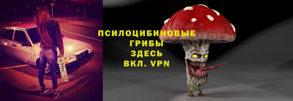 тгк Горняк