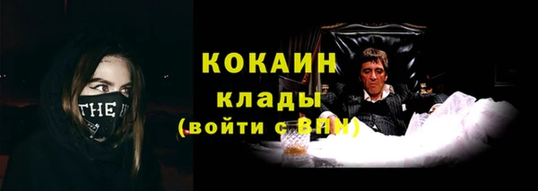 тгк Горняк