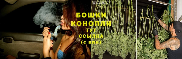 Альфа ПВП Горно-Алтайск