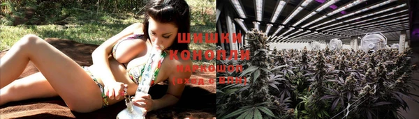 тгк Горняк