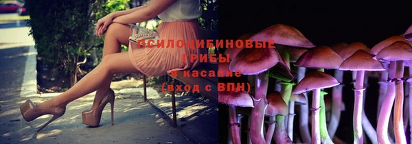 Альфа ПВП Горно-Алтайск